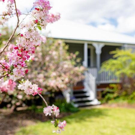 Apple Blossom Cottages Stanthorpe Extérieur photo