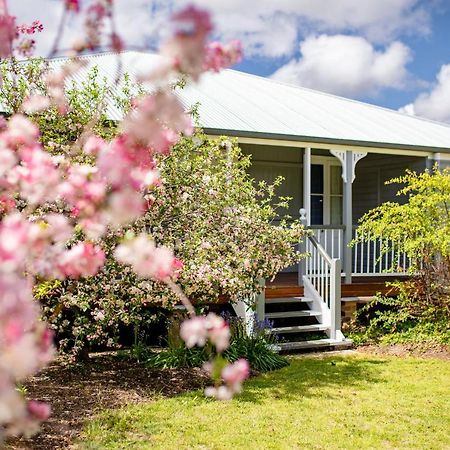 Apple Blossom Cottages Stanthorpe Extérieur photo