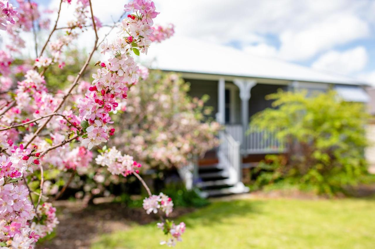 Apple Blossom Cottages Stanthorpe Extérieur photo