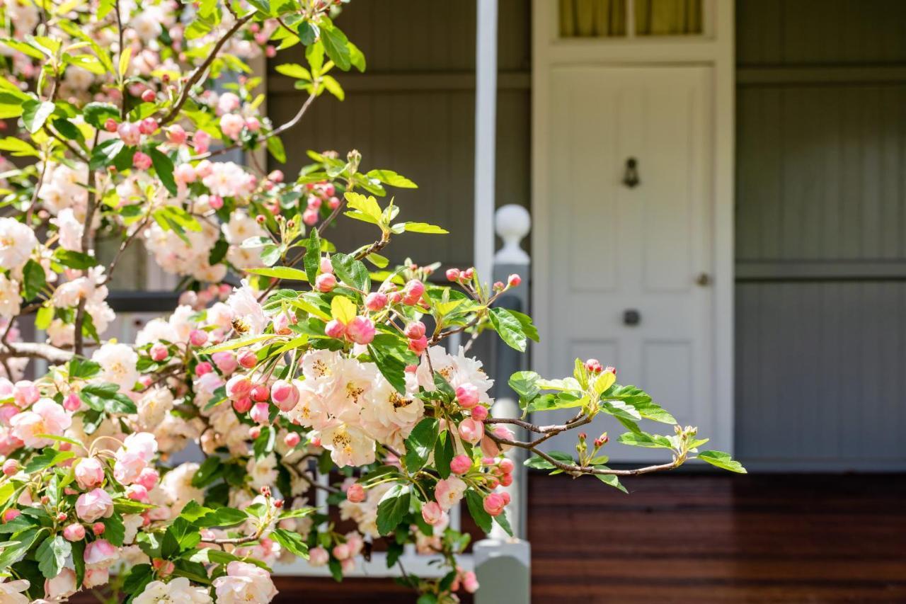 Apple Blossom Cottages Stanthorpe Extérieur photo