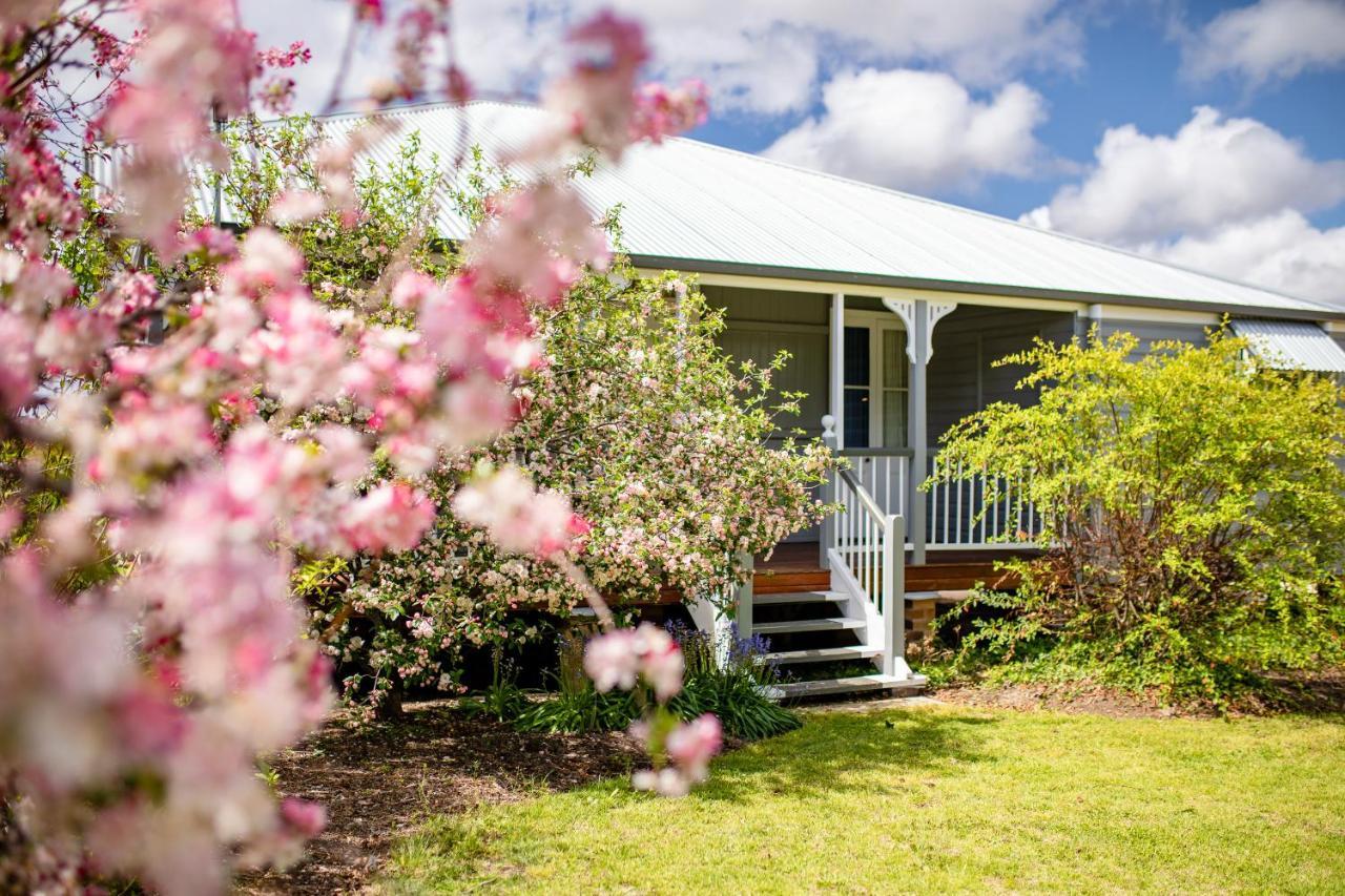 Apple Blossom Cottages Stanthorpe Extérieur photo