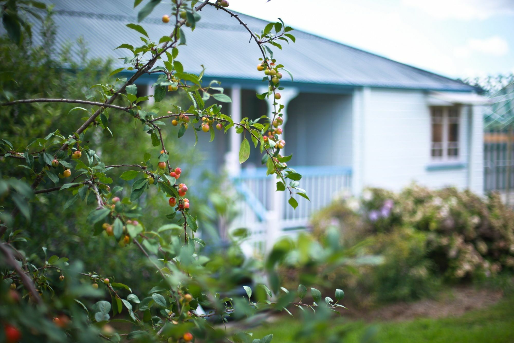 Apple Blossom Cottages Stanthorpe Extérieur photo